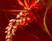 Bird Of Paradise - 约翰·劳伦茨·延森